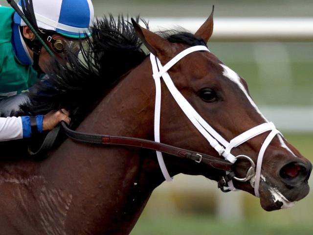 Timeform's US team pick out the best bets from Penn National